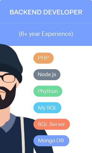 Backend Developer